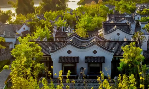 Banyan-Tree -Hotel Banyan-Tree -Hotel